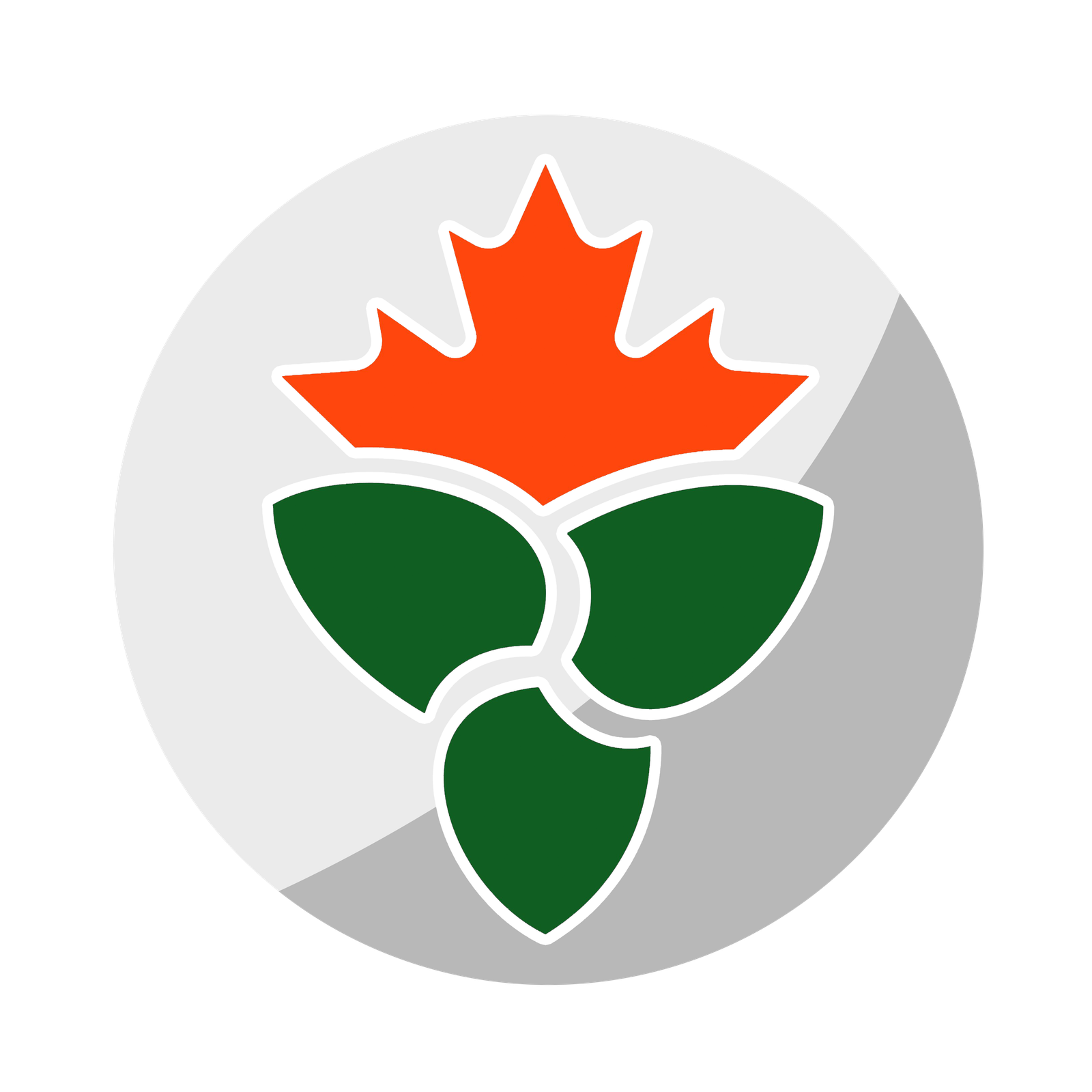 Maple Install Logo